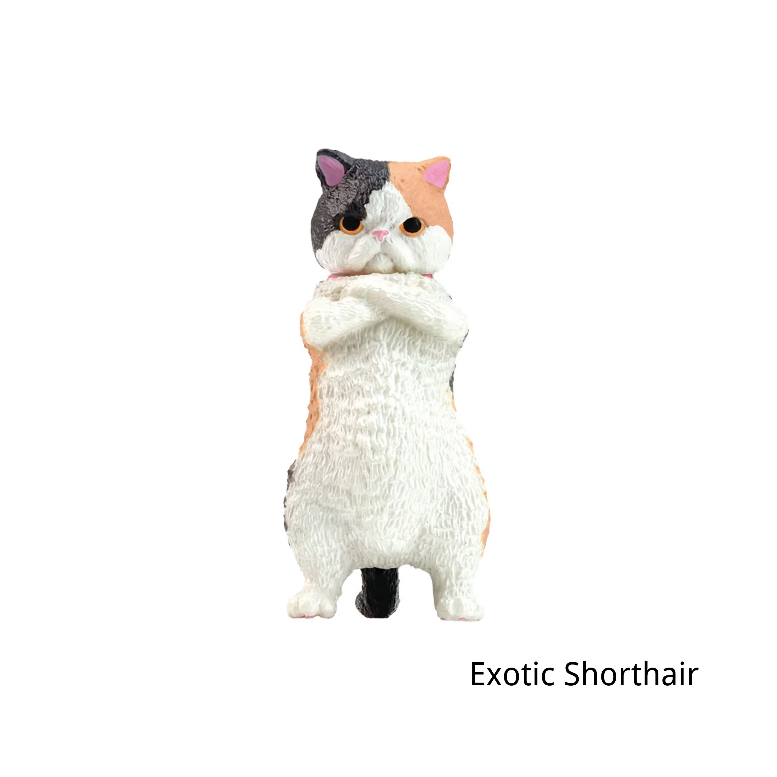 Gacha - Zun!! Cat preparing for battle! - Image 7