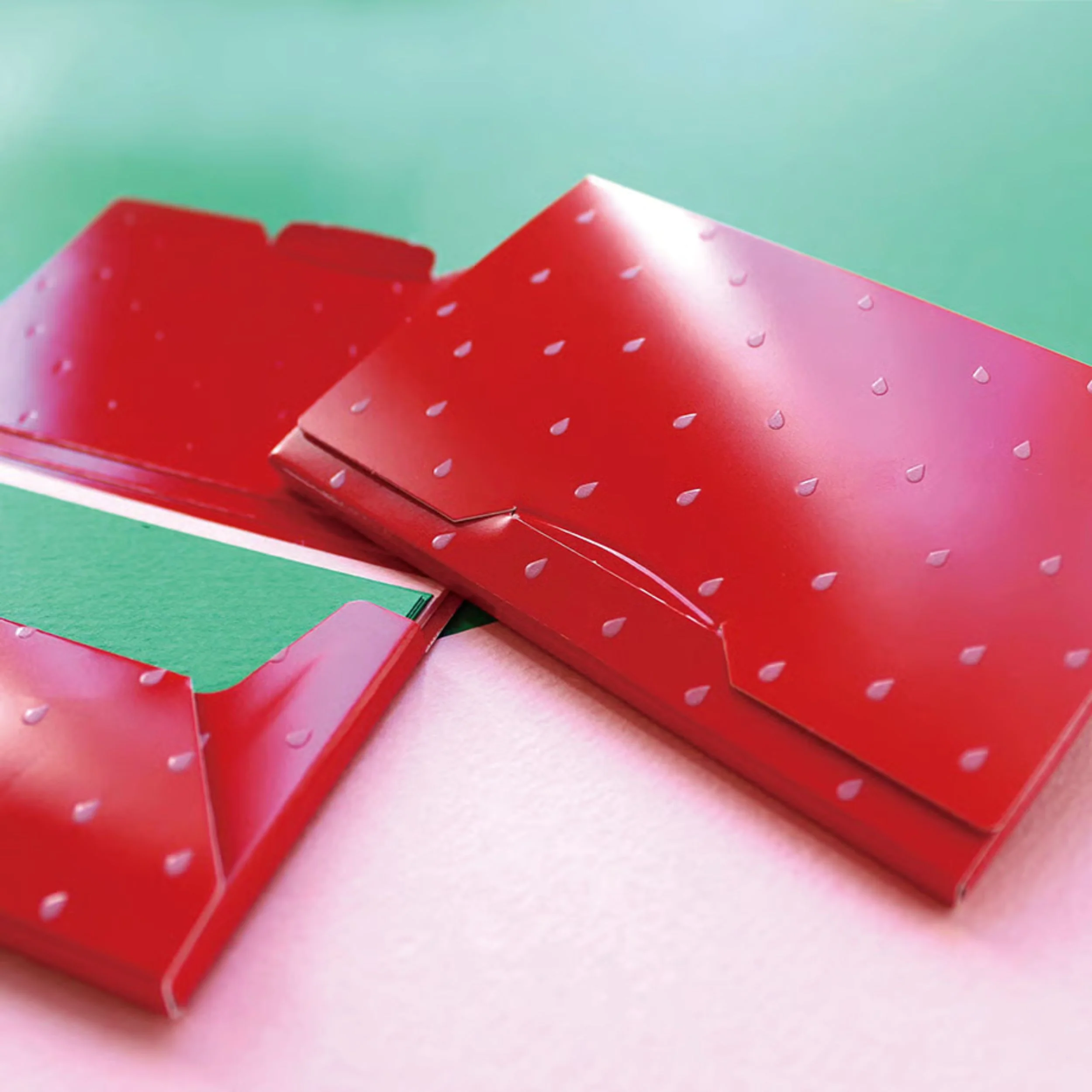 Ichikudo Card Case - Strawberry - Image 2