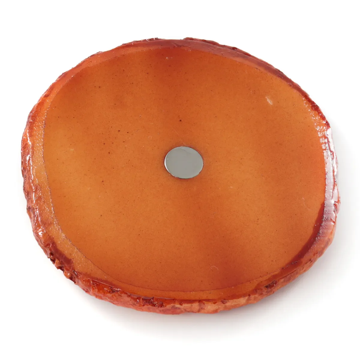 Food Sample Magnet - Crackers Shoyu Round - Image 2