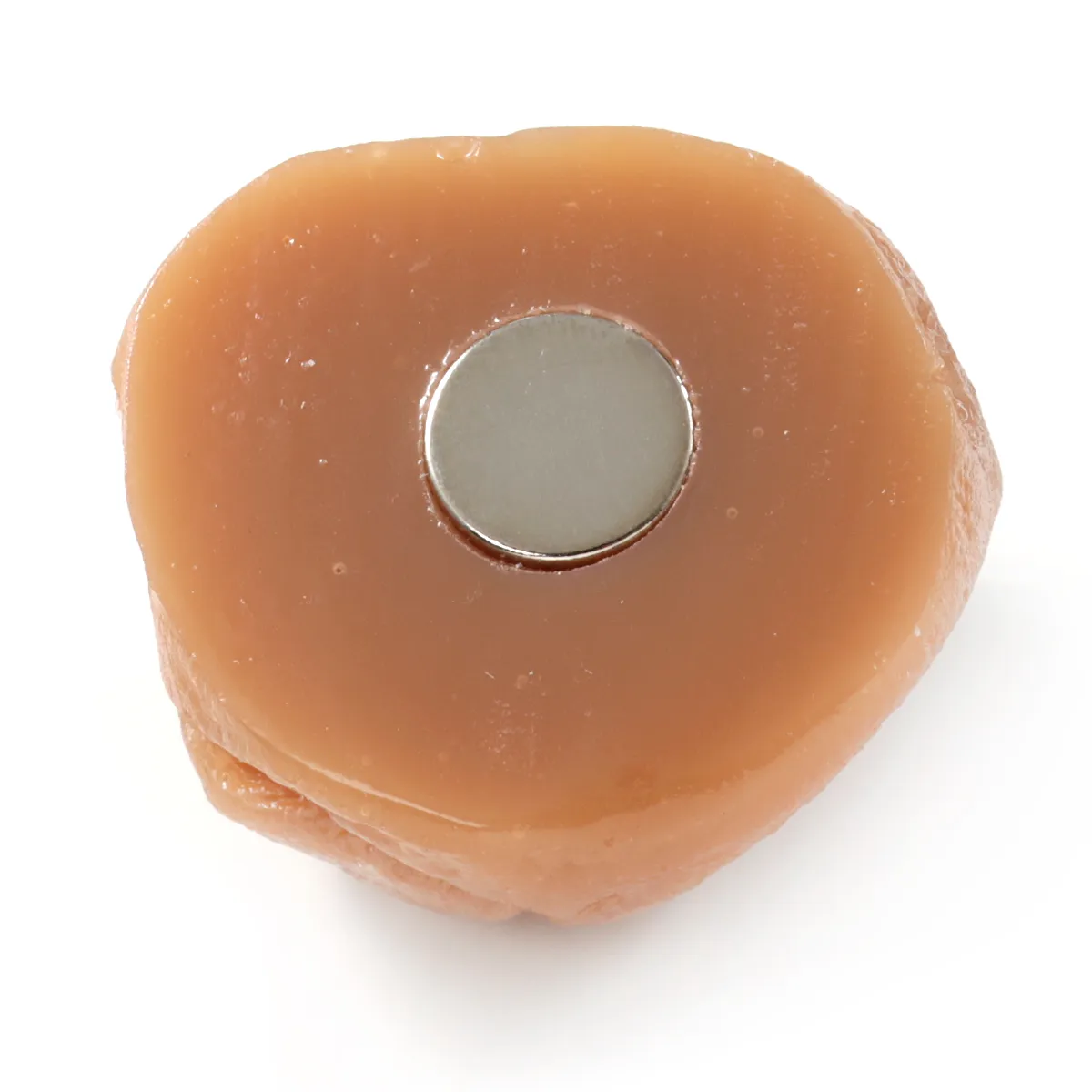 Food Sample Magnet - Dried Plum White - Image 2