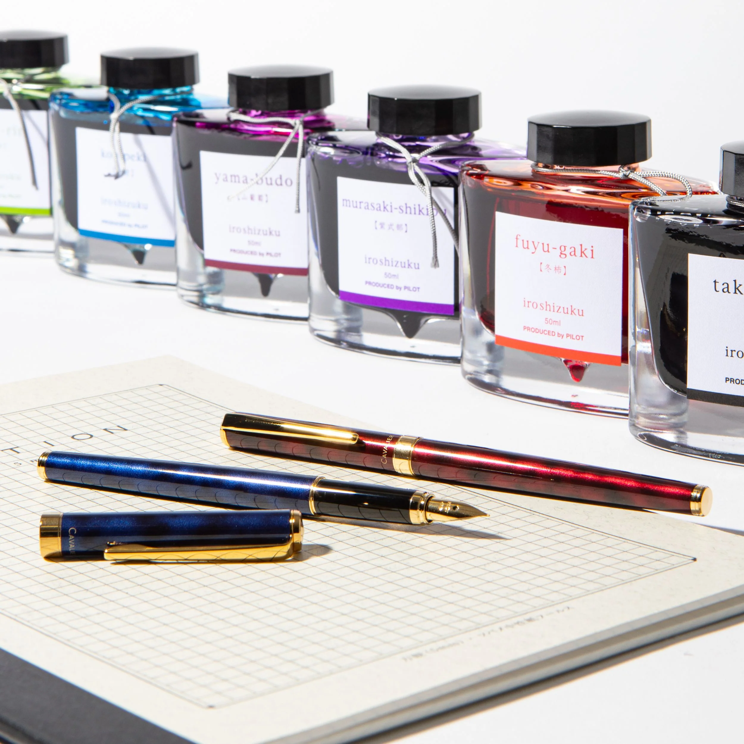 Pilot Cavalier Marbled Fountain Pen - Fine - Black & Blue - Image 2