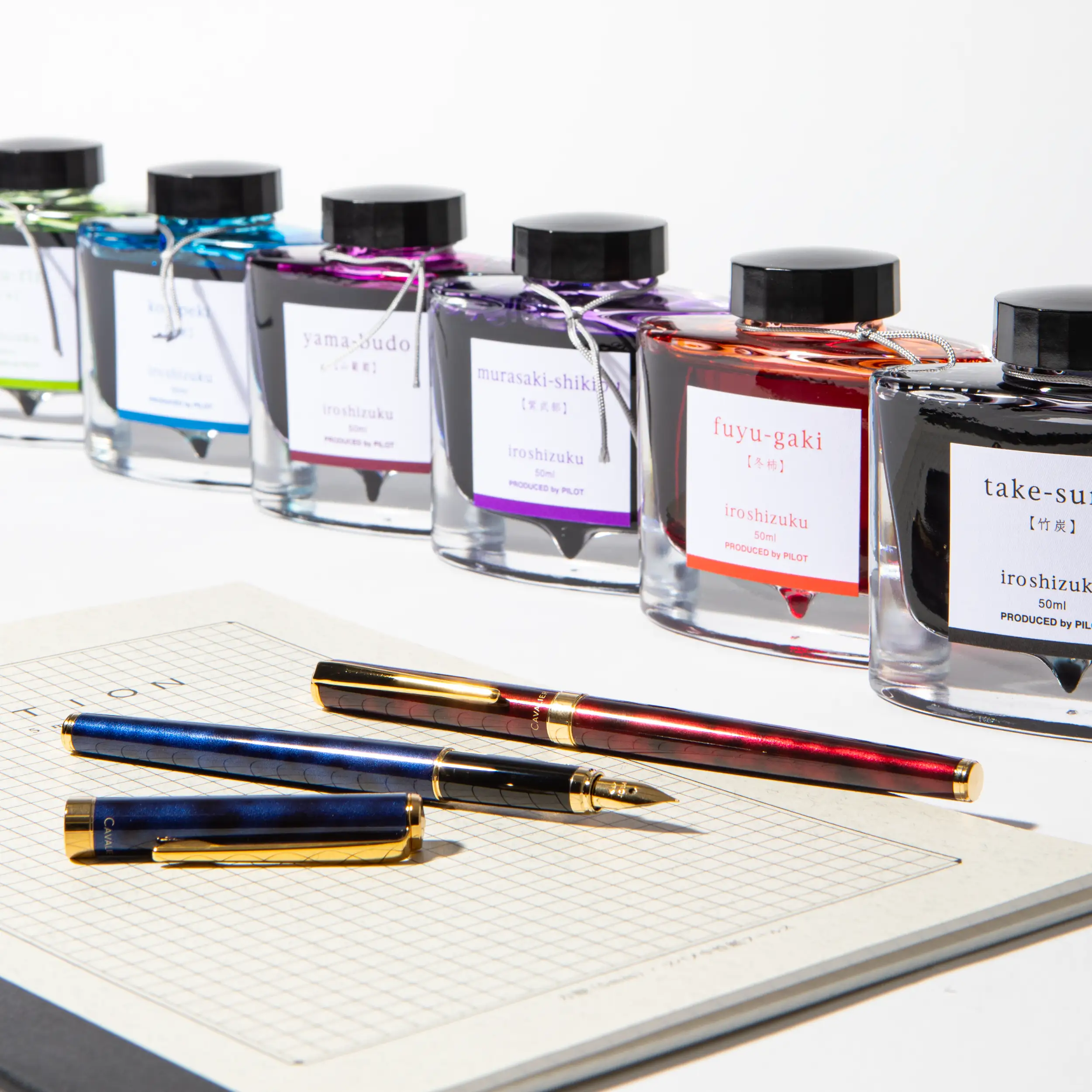 Pilot Iroshizuku Chiku-rin Ink - Bamboo Forest - 50ml - Image 4